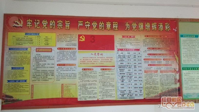 2023年饲料中豆粕占比下降到13%